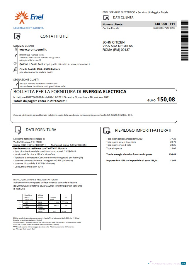 download download Italy Enel electricity utility bill template in Word and PDF format PDF template PDF template